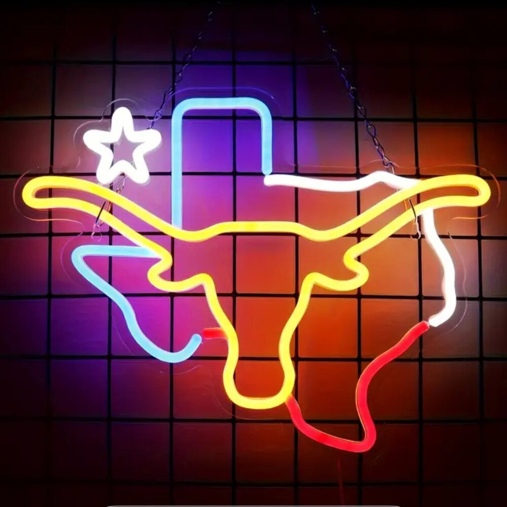 TEXAS LONGHORN STATE WITH STAR NEON LED SIGN